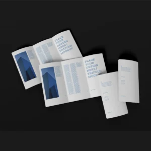 สิ่งพิมพ์สำหรับโฆษณา (Advertisment)